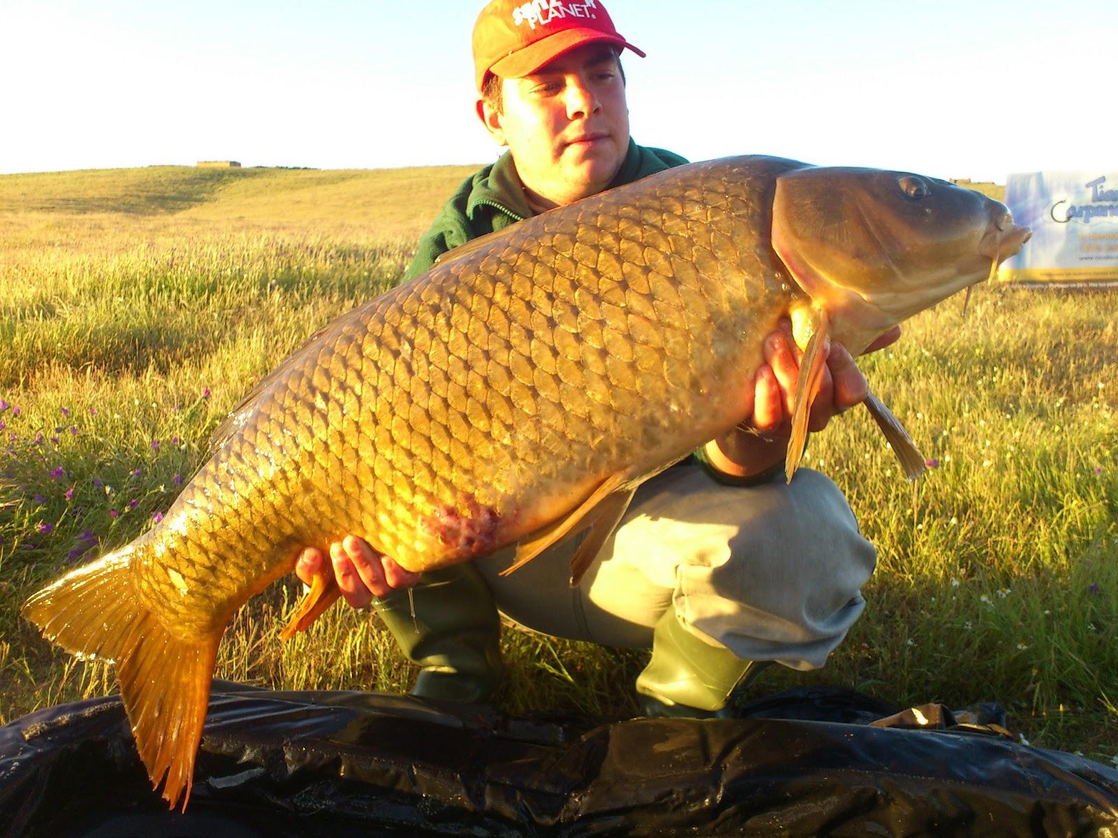 Pescarii din Spania isi bat recordurile cu nada romaneasca.